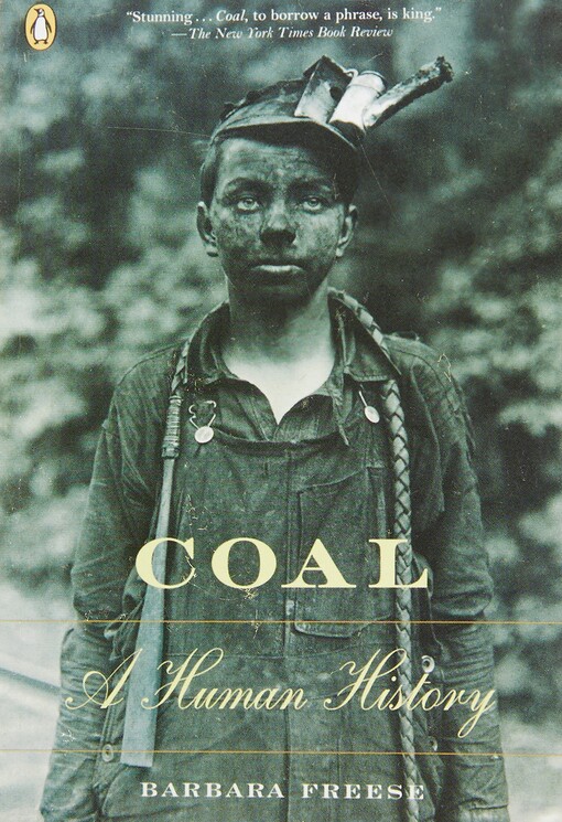 Coal : a human history