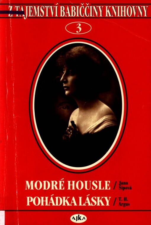 Modré housle: Román