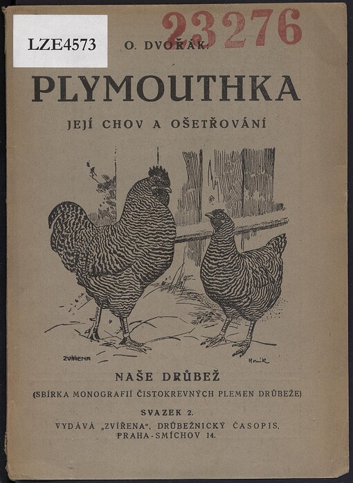 Plymouthka, její chov a ošetřování