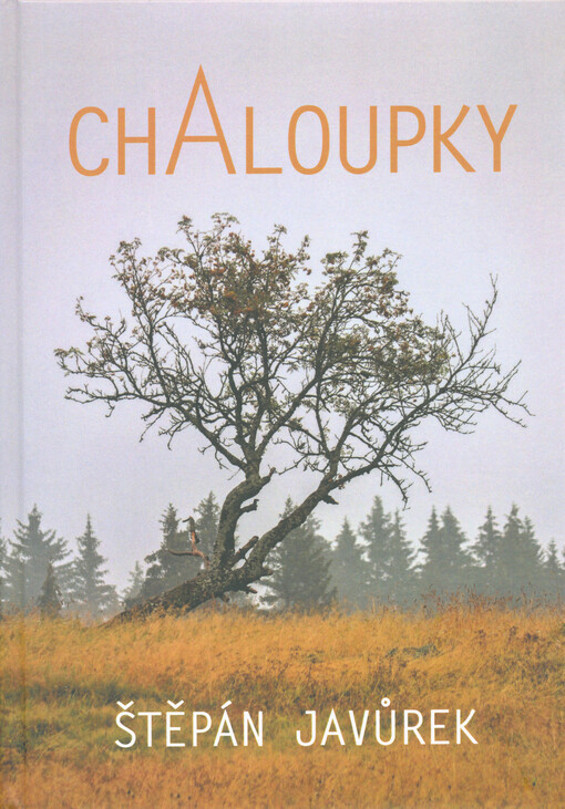 Chaloupky