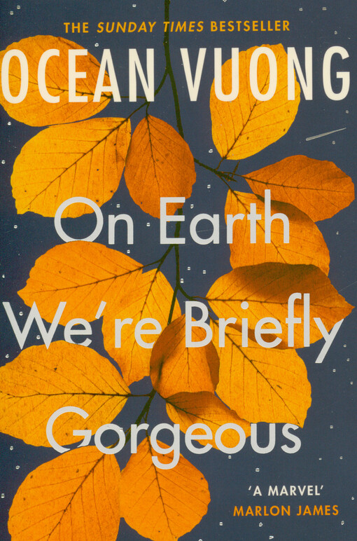 On earth we're briefly gorgeous
