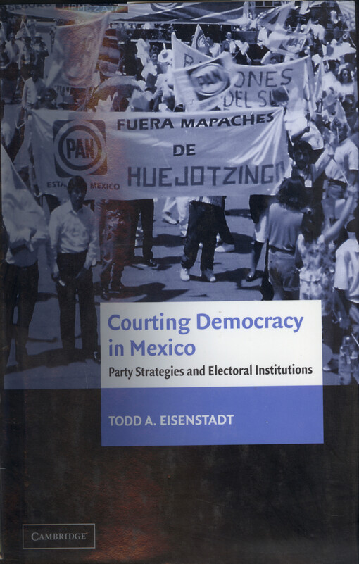 Courting democracy in Mexico : party strategies and electoral institutions