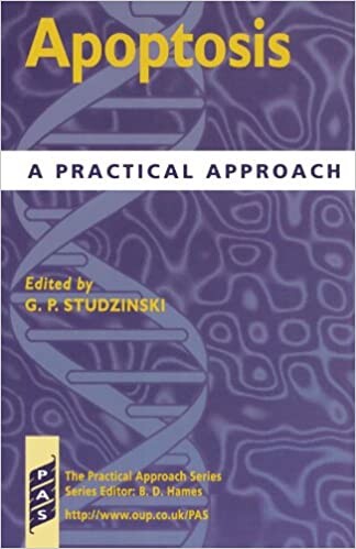 Apoptosis: A Practical Approach (Practical Approach Series)