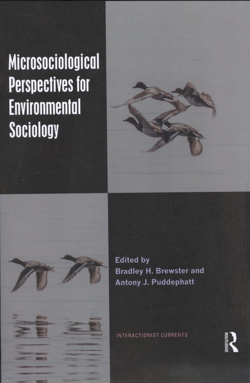 Microsociological perspectives for environmental sociology