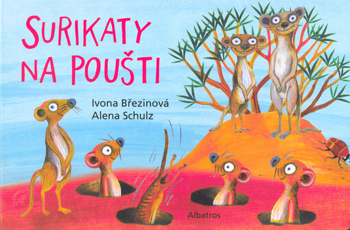 Surikaty na poušti