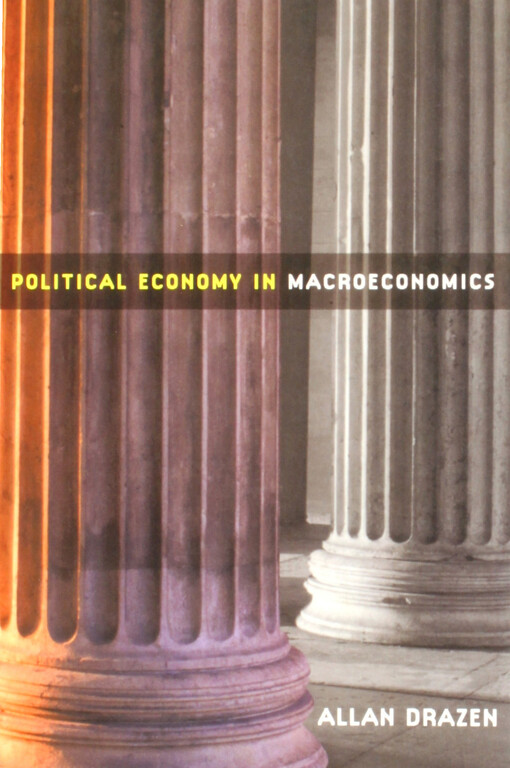 Political economy in macroeconomics
