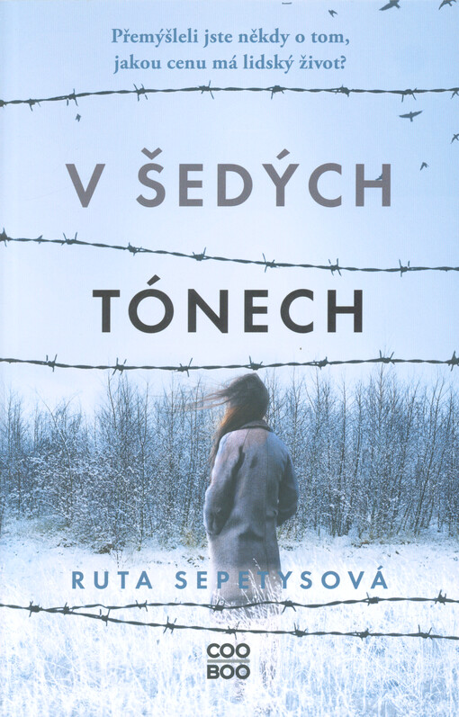 V šedých tónech