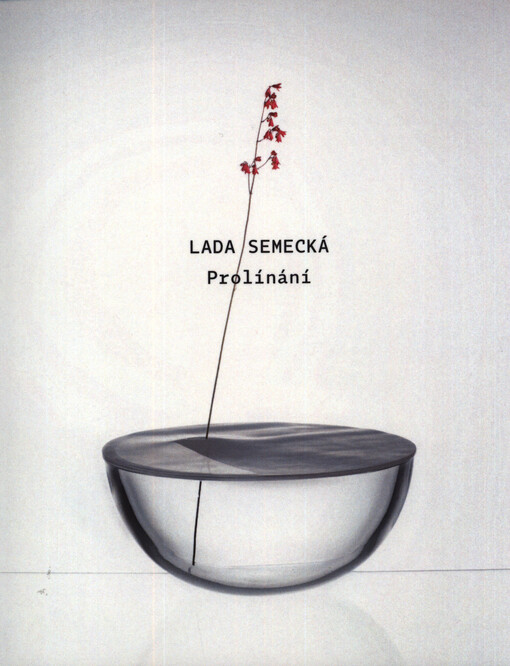 Lada Semecká : prolínání