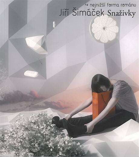 Snaživky : nejnižší forma románu