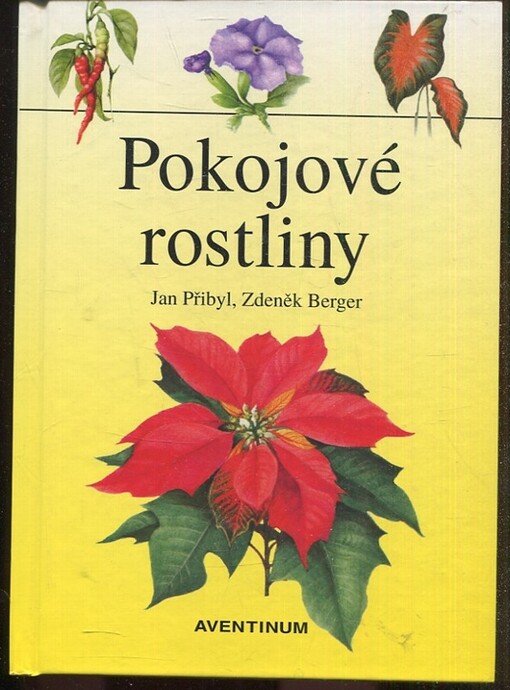 Pokojové rostliny