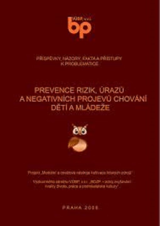 Prevence rizik, úrazů a negativních projevů chování dětí a mládeže : příspěvky, názory, fakta a přístupy k problematice : projekt 
