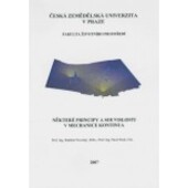 Některé principy a souvislosti v mechanice kontinua