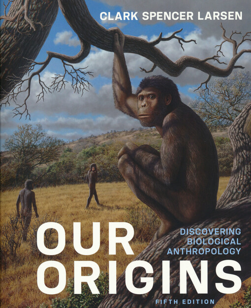 Our origins : discovering biological anthropology