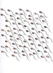 Petr Fidrich : plastiky : Alšova jihočeská galerie, Wortnerův dům, České Budějovice 29.6.-10.9.2006