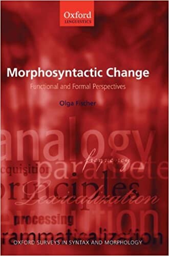 Morphosyntactic change : functional and formal perspectives