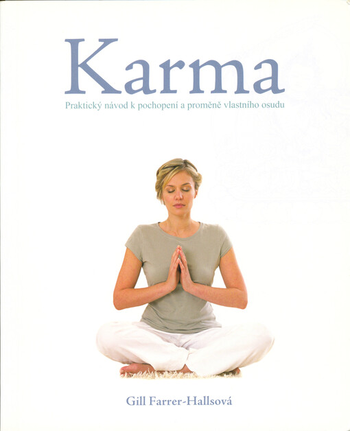 Karma : praktický návod k pochopení a proměně vlastního osudu