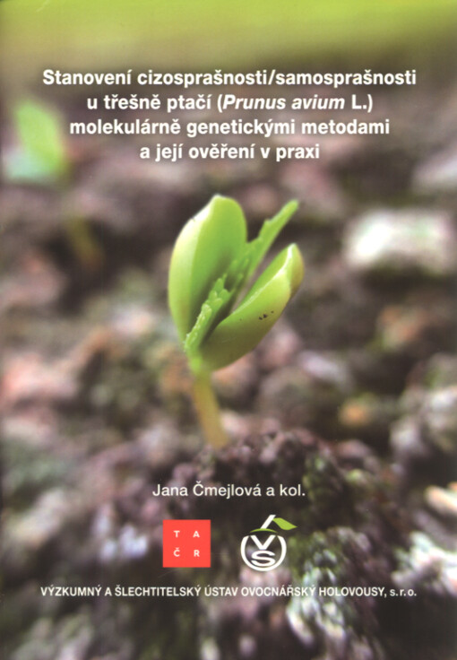 Stanovení cizosprašnosti - samosprašnosti u třešně ptačí (Prunus avium L.) molekulárně genetickými metodami a její ověření v praxi
