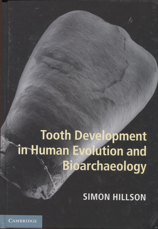 Tooth development in human evolution and bioarchaeology