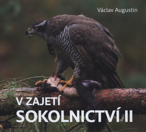 V zajetí sokolnictví