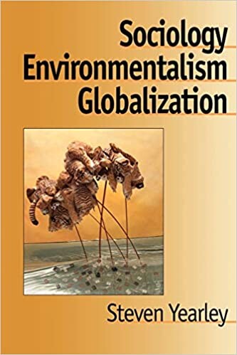Sociology, environmentalism, globalization : reinventing the Globe