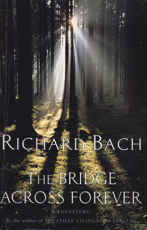 The bridge across forever