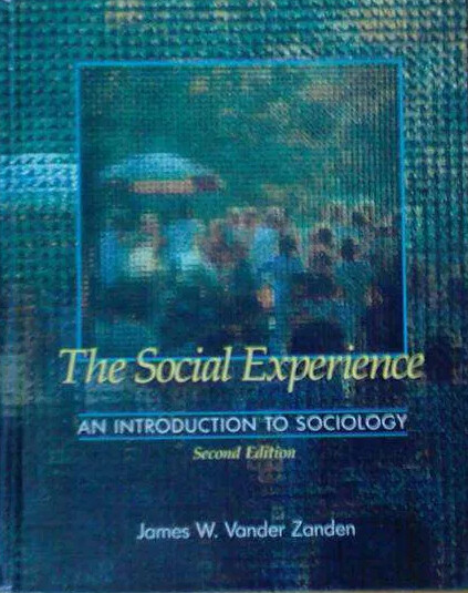 The social experience : an introduction to sociology