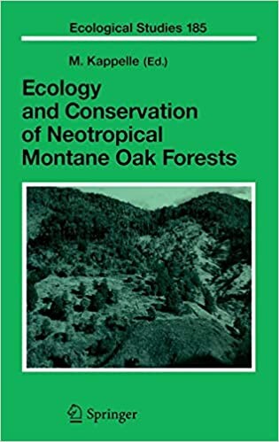 Ecology and Conservation of Neotropical Montane Oak Forests (Ecological Studies)