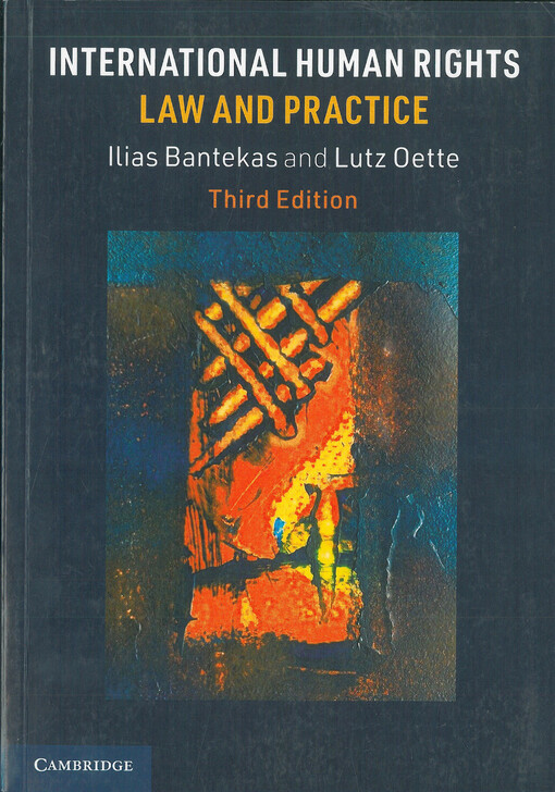 International human rights law and practice