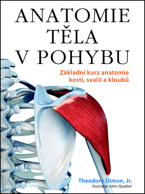 Anatomie těla v pohybu: základní kurz anatomie kostí, svalů a kloubů