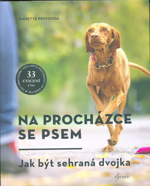 Na procházce se psem : zábava pro každý typ psa