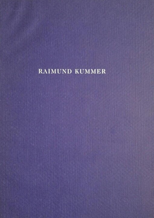 Raimund Kummer (German Edition)