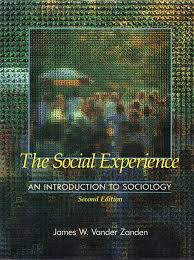 The social experience : an introduction to sociology