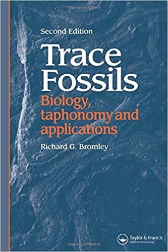 Trace Fossils