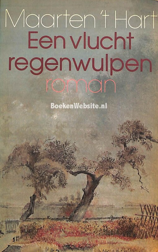 Een vlucht regenwulpen : roman