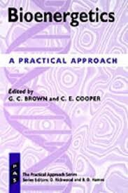Bioenergetics: A Practical Approach (Practical Approach Series)