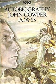 Autobiography (Picador Books)