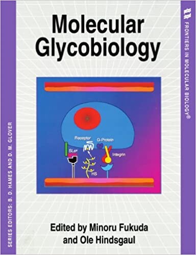 Molecular Glycobiology (Frontiers in Molecular Biology Series)