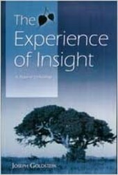 The experience of insight: A natural unfolding