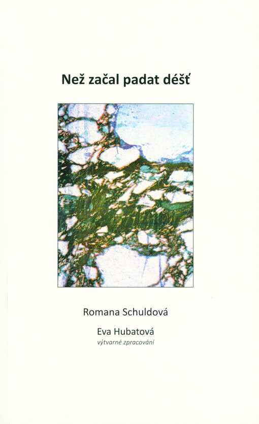 Než začal padat déšť