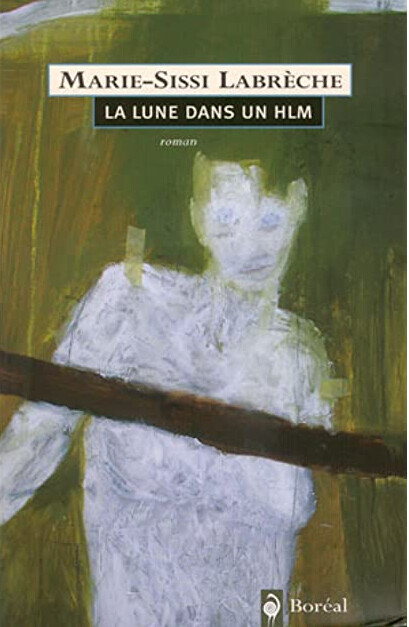 La Lune dans un HLM : roman
