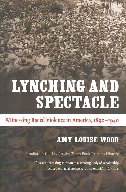 Lynching and spectacle :witnessing racial violence in America, 1890-1940