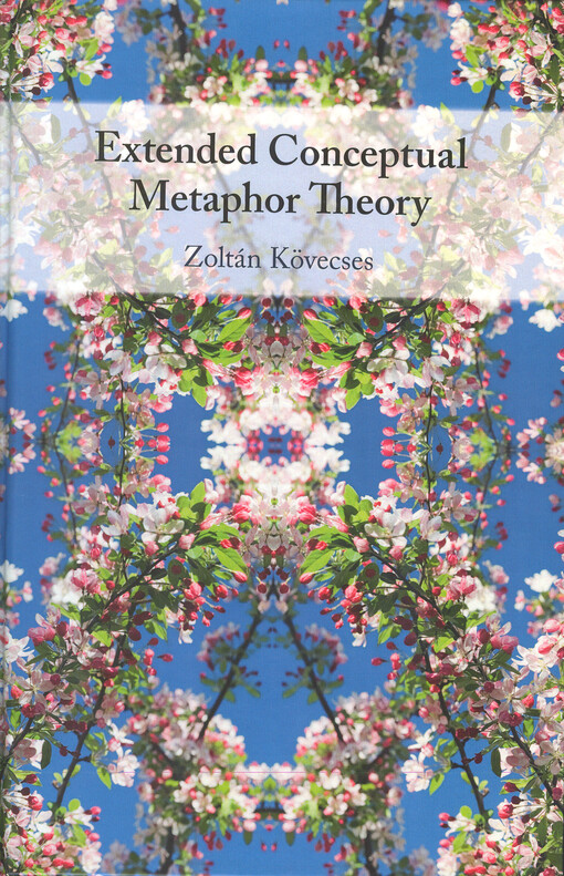 Extended conceptual methaphor theory