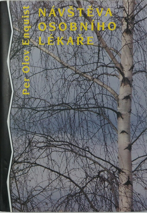 Návštěva osobního lékaře