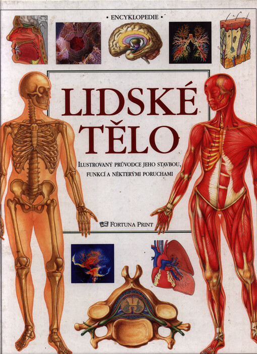 Lidské tělo : ilustrovaný průvodce jeho stavbou, funkcí a některými poruchami