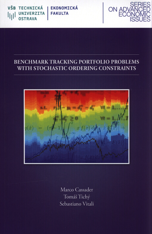 Benchmark tracking portfolio problems with stochastic ordering constraints
