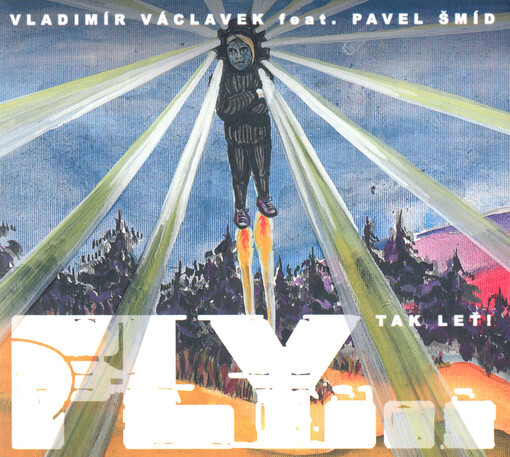 Fly