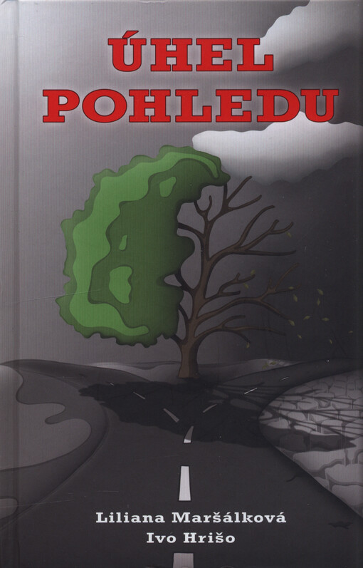 Úhel pohledu