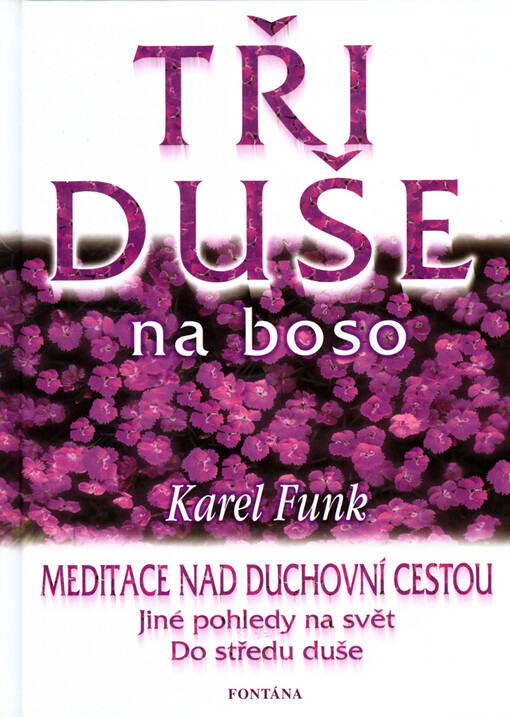Tři duše na boso : malé meditace nad duchovní tvorbou Táni Fischerové, Dany Majdové, Václava Švejcara