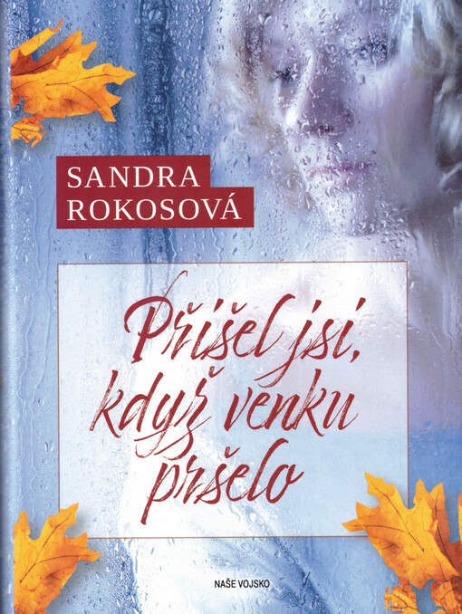 Přišel jsi, když venku pršelo