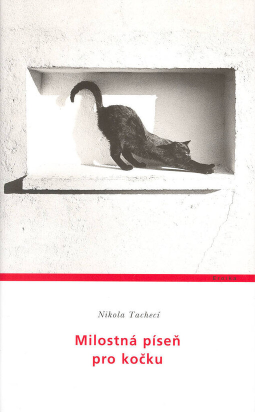 Milostná píseň pro kočku